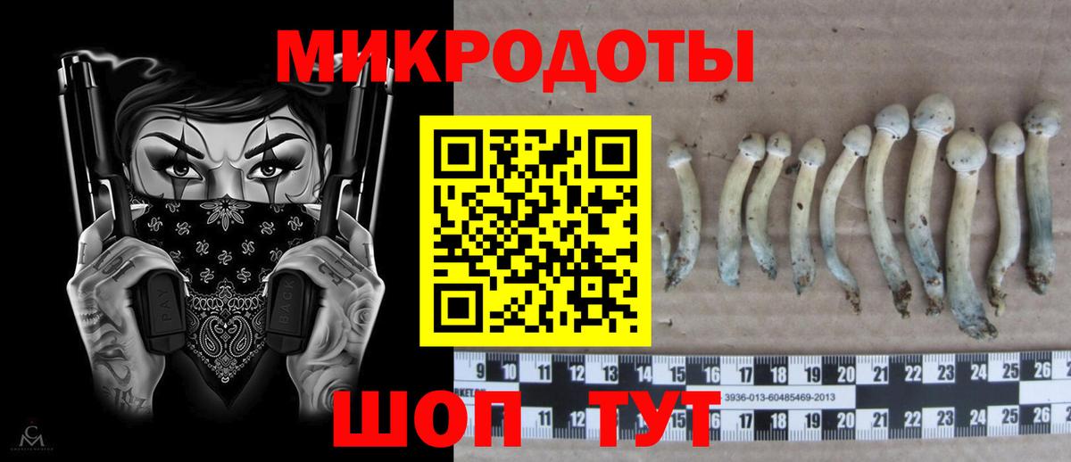 Стрежевой  Псилоцибиновые грибы ЛСД  Вход с VPN  Галлюциногенные грибы прущие грибы 
